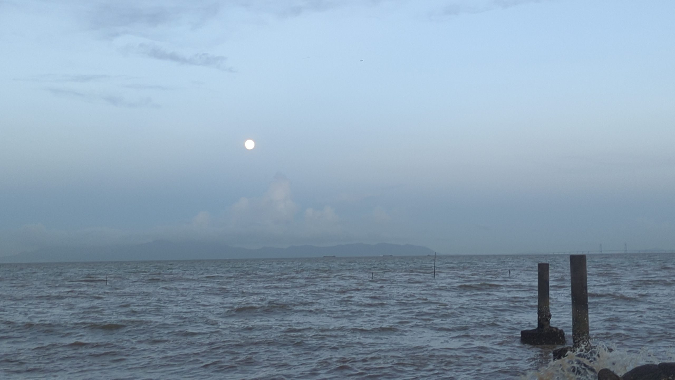 眺望夜潮，海边拾贝｜小萝卜的2024年度总结